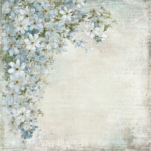 Papper Scrapbooking Reprint -Summer Garden Blueberries - 12x