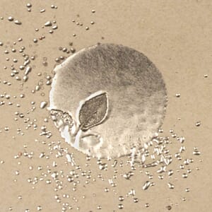 CHUNKY SILVER EMBOSSING ENAMEL