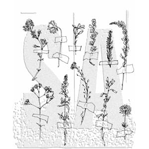 Stampers Anonymous Forgotten Garden Tim Holtz Cling Stamps (