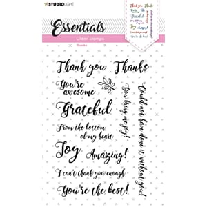 SL Clear Stamp Sentiments/Wishes - Thanks Essentials 105x148