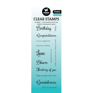 SL Clear Stamp Sentiments Essentials 46,2x142x3mm 13 PC nr.5