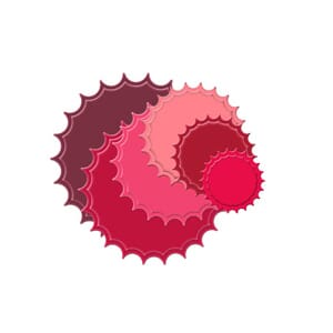 LG classic InvertedScalloped Circles