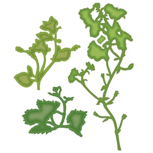 Shadow  Flowers, Donna Salazar