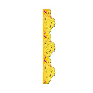 Large wisteria border grand