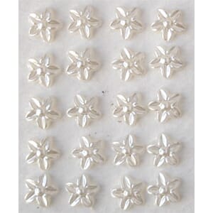 Perleblomster, kremfarget lilje