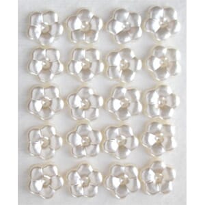 Perleblomster, kremfarget primula