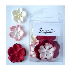 Primula, rød-rosa mix