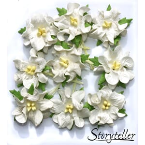 Gardenia, små, hvit