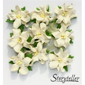 Gardenia, små, eggeskall