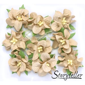 Gardenia, små, beige