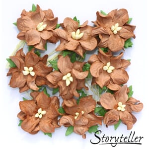 Gardenia, små, brun