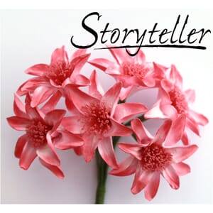 35mm lilje, 6stk, rosa