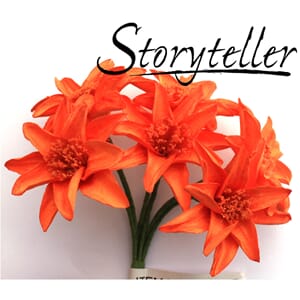 35mm lilje, 6stk, orange