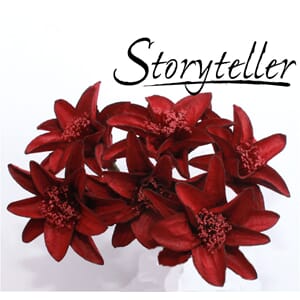 35mm lilje, 6stk, burgunder