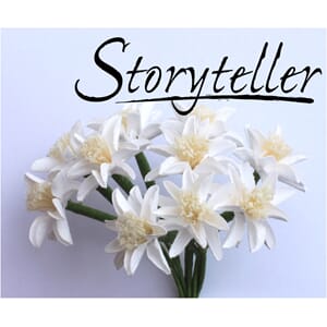 20mm lilje, 12stk, hvit