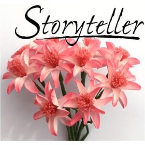 20mm lilje, 12stk, rosa