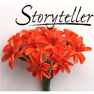 20mm lilje, 12stk, orange