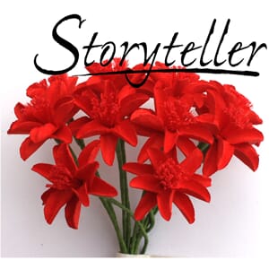 20mm lilje, 12stk, rød