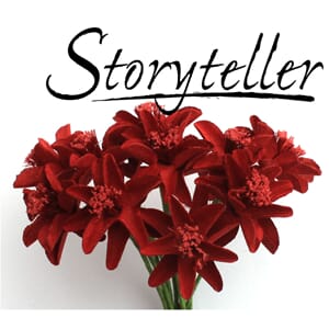 20mm lilje, 12stk, burgunder