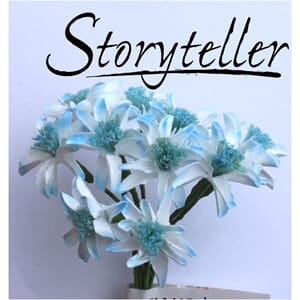 20mm lilje, 12stk, lys blå kant