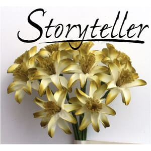 20mm lilje, 12stk, mosegrønn kant