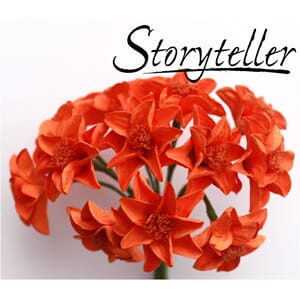 25mm lilje, 12 stk, orange