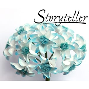 25mm lilje, 12 stk, lys blå kant