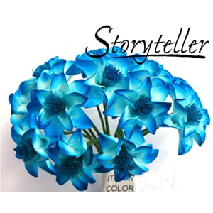 25mm lilje, 12 stk, turkis