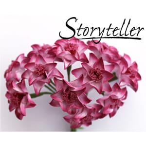 25mm lilje, 12 stk, rosa-lilla