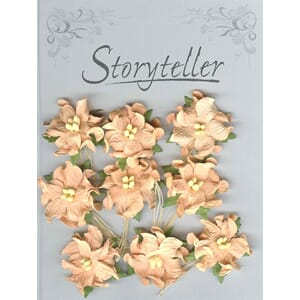 Gardenia, små, aprikos