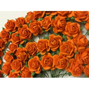 14 mm rose, orange