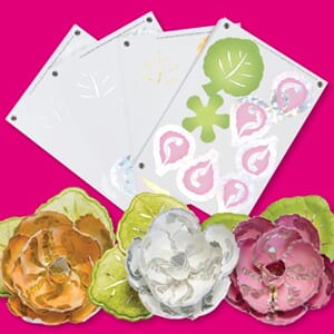 Bouquet Boutique - Begonia Die Pad