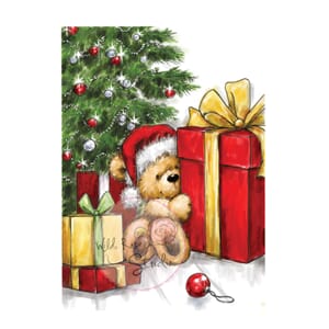 Teddy with Gift