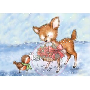 Bluebell with Poinsettias